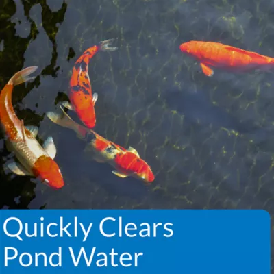 Product API® Accu-Clear Clarifier Pond Water Conditioner