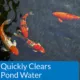 Product API® Accu-Clear Clarifier Pond Water Conditioner