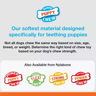 Product Nylabone® Puppy Starter Kit Chew Dog Toys - 3 Pack