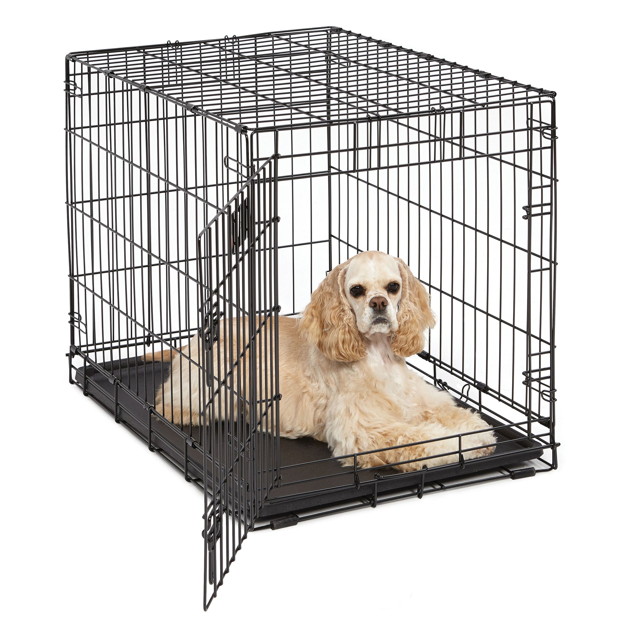 puppy crates petsmart