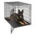 MidWest Life Stages Single Door Folding Dog Crate with Divider Panel image thumbnail 1