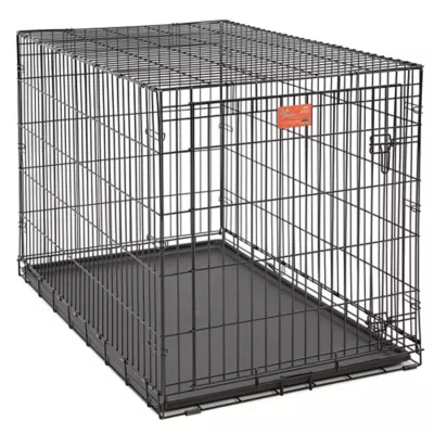 Product MidWest Life Stages Single Door Folding Dog Crate