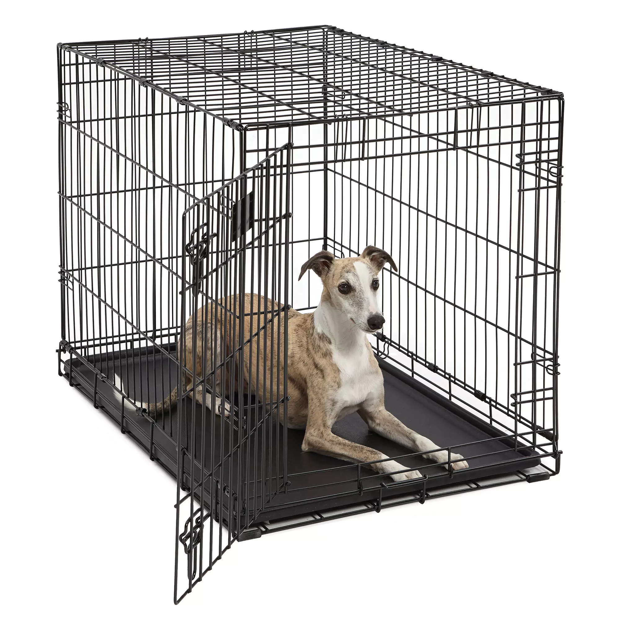 MidWest Life Stages Single Door Folding Dog Crate