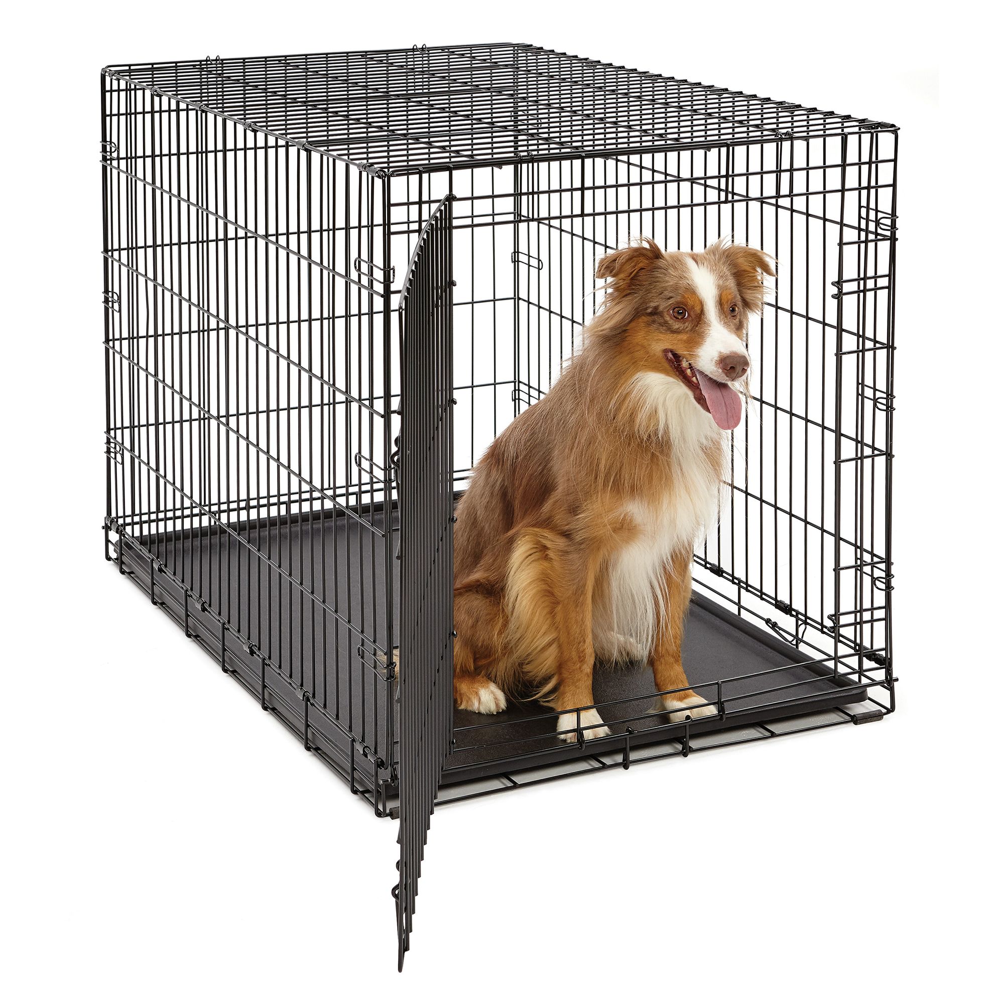 Petsmart dog crate sales medium