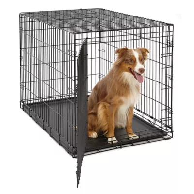 Midwest 42 inch Life Stages Single Door Dog Crate BLACK