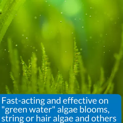 Product API® Algaefix Aquarium Algae Control