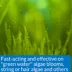 API® Algaefix Aquarium Algae Control image thumbnail 4