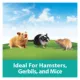 Product KAYTEE® CritterTrail Value Pack Fun-nels