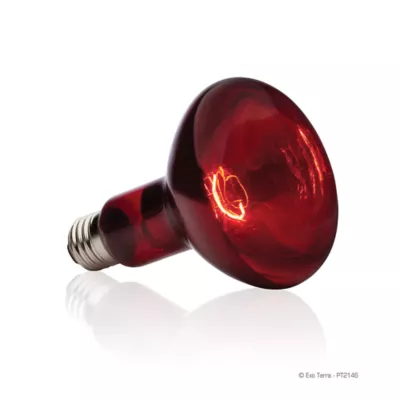 Product Exo Terra® Infrared Basking Spot