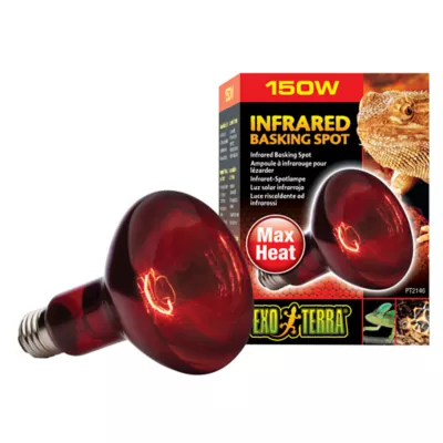 Product Exo Terra® Infrared Basking Spot