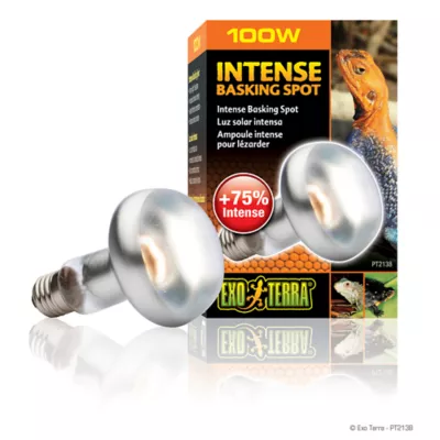 Product Exo Terra® Intense Basking Spot Light