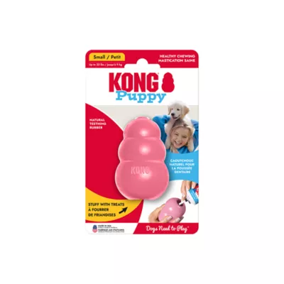 KONG® Puppy Toy - Treat Dispensing (COLOR VARIES) - Image 10