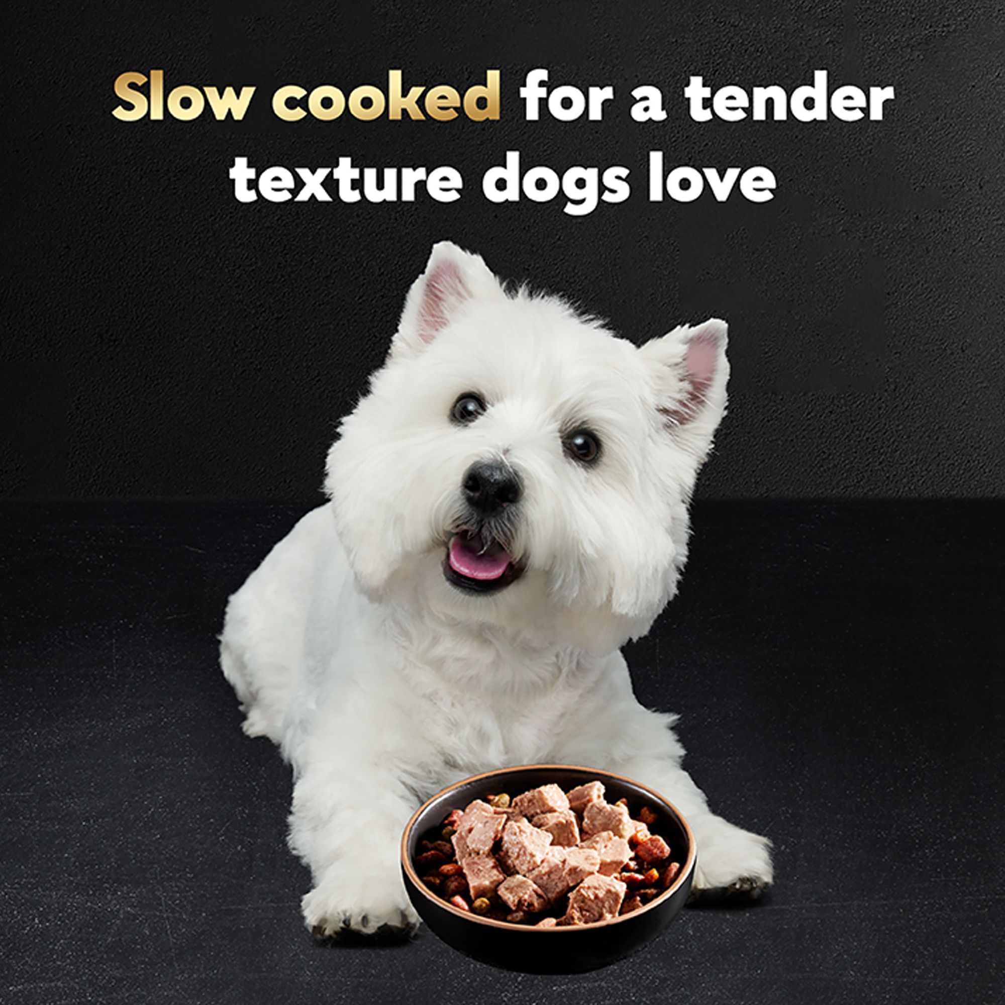 zoe dog food petsmart