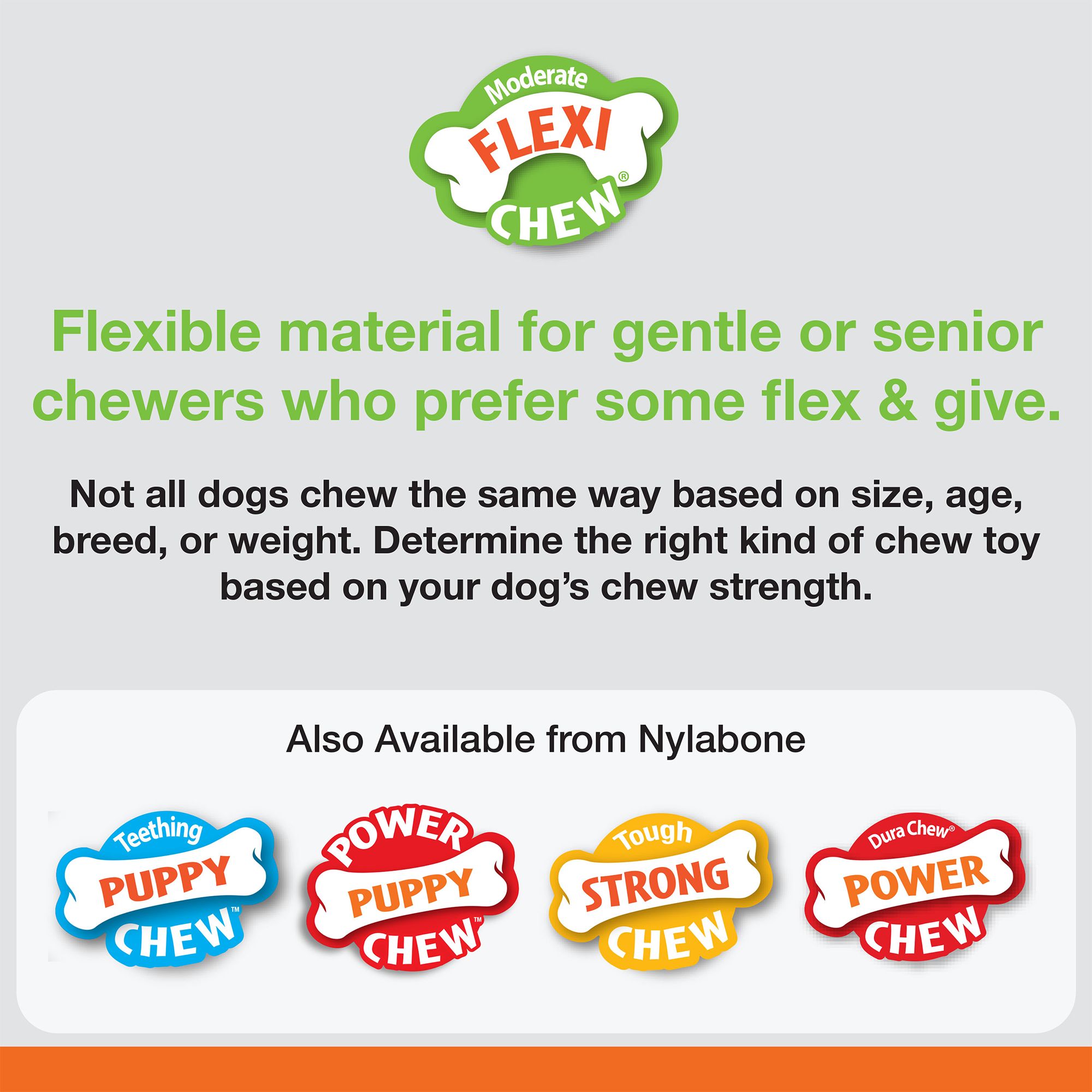 Nylabone 3 pack sale