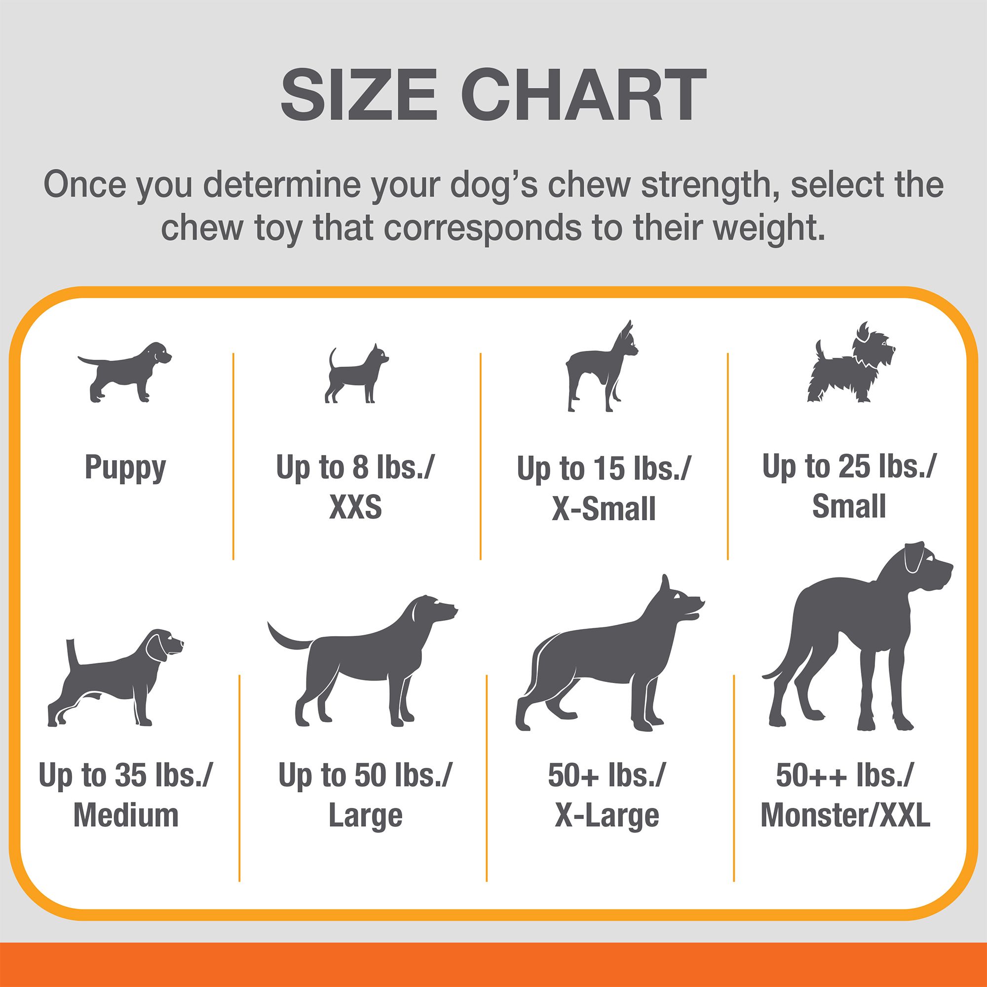 Nylabone small dog value pack sales