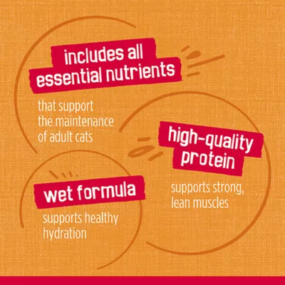 Product Purina® Friskies®  Adult Cat Wet Food - 6.04 oz., Real Meat, High-Protein