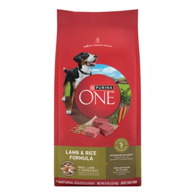 Product Purina ONE® SmartBlend Everyday Nutrition Adult Dog Dry Food - Lamb, High-Protein