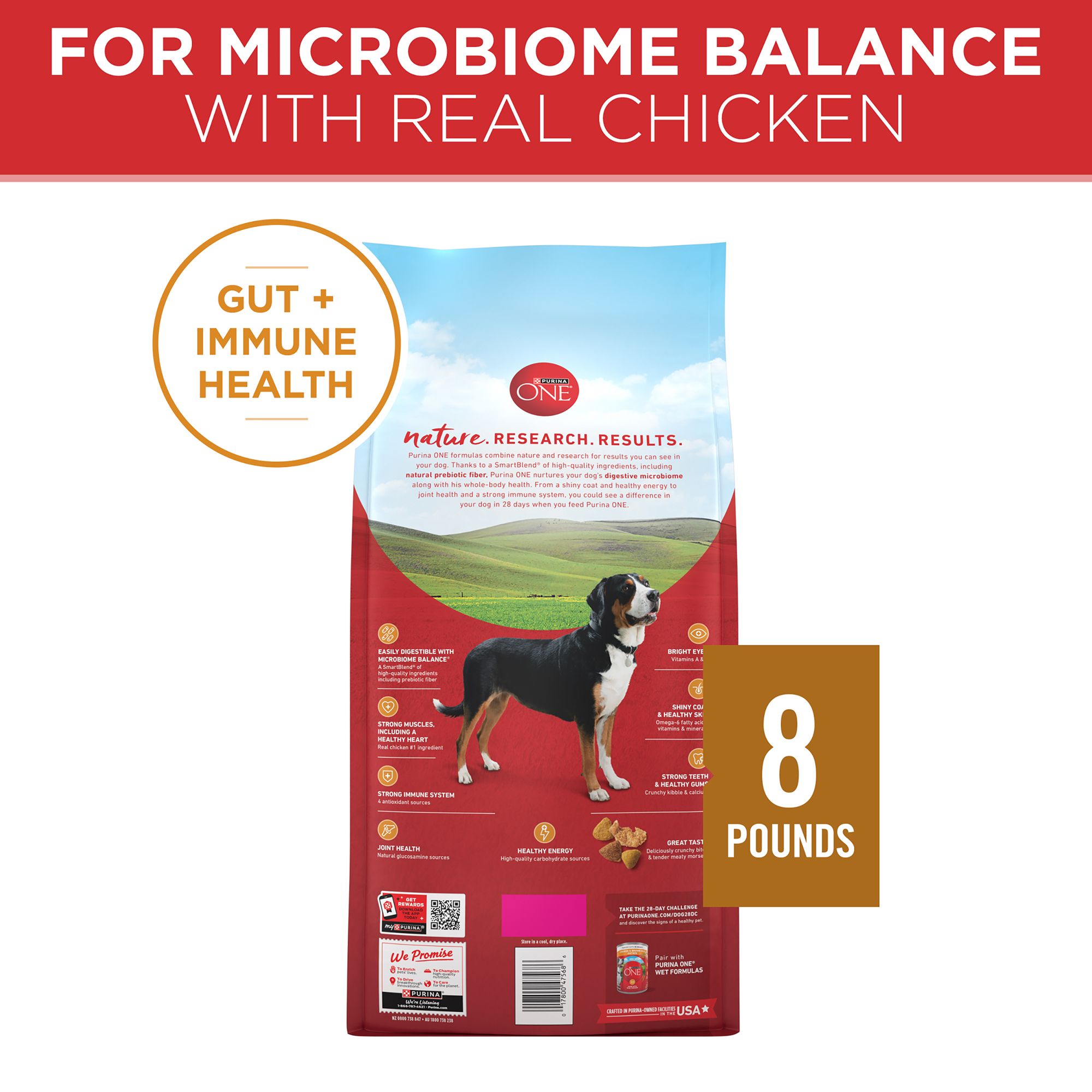 purina one dog food senior formula