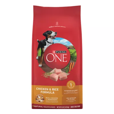 Product Purina ONE® SmartBlend Everyday Nutrition Adult Dog Dry Food - Chicken, High-Protein