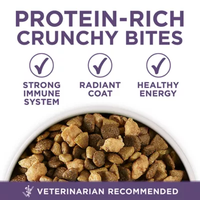 Product Purina ONE® +Plus Senior Dog Dry Food - Chicken, Low Ash, With Vitamins