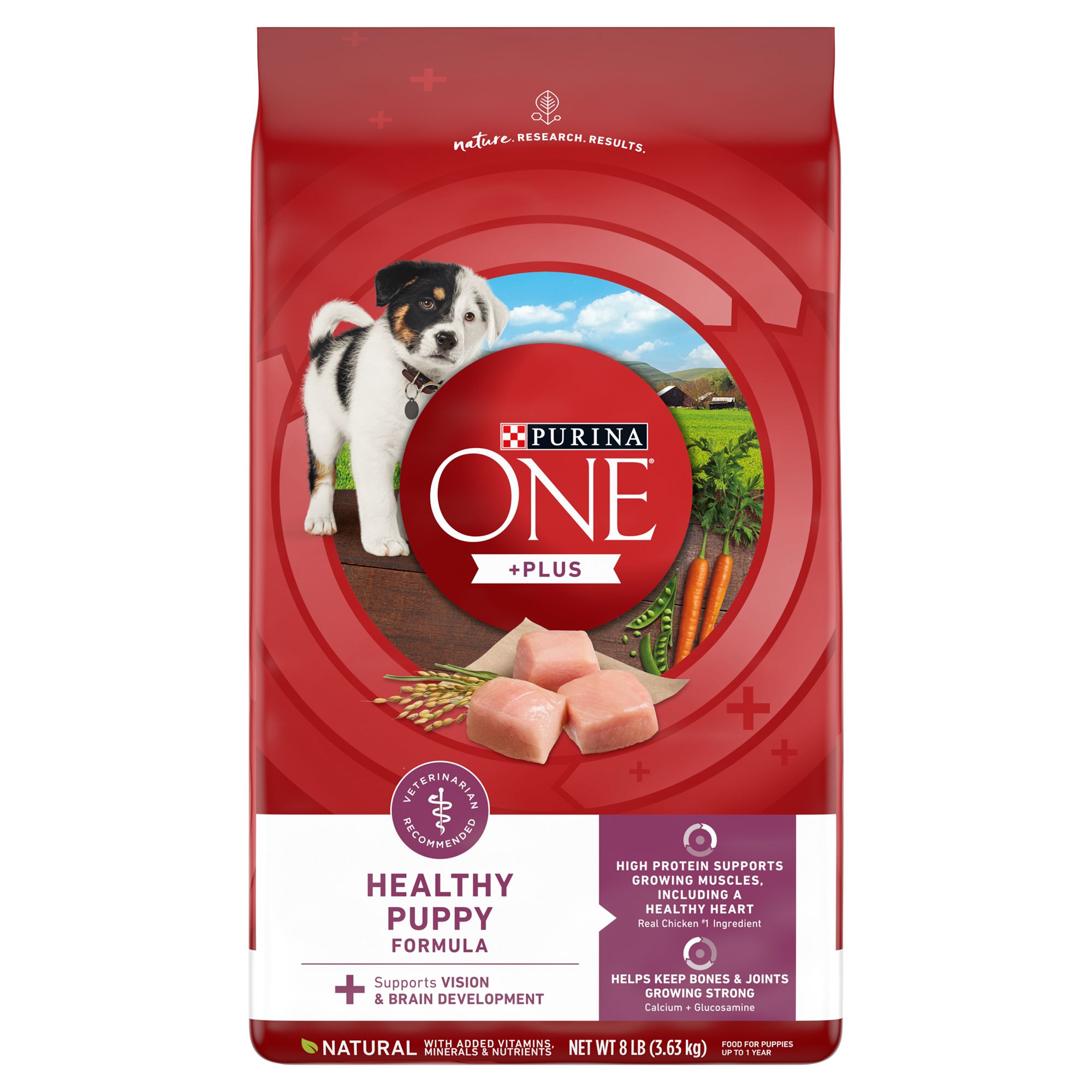 Purina ONE Plus Puppy Dog Dry Food Chicken Natural High Protein