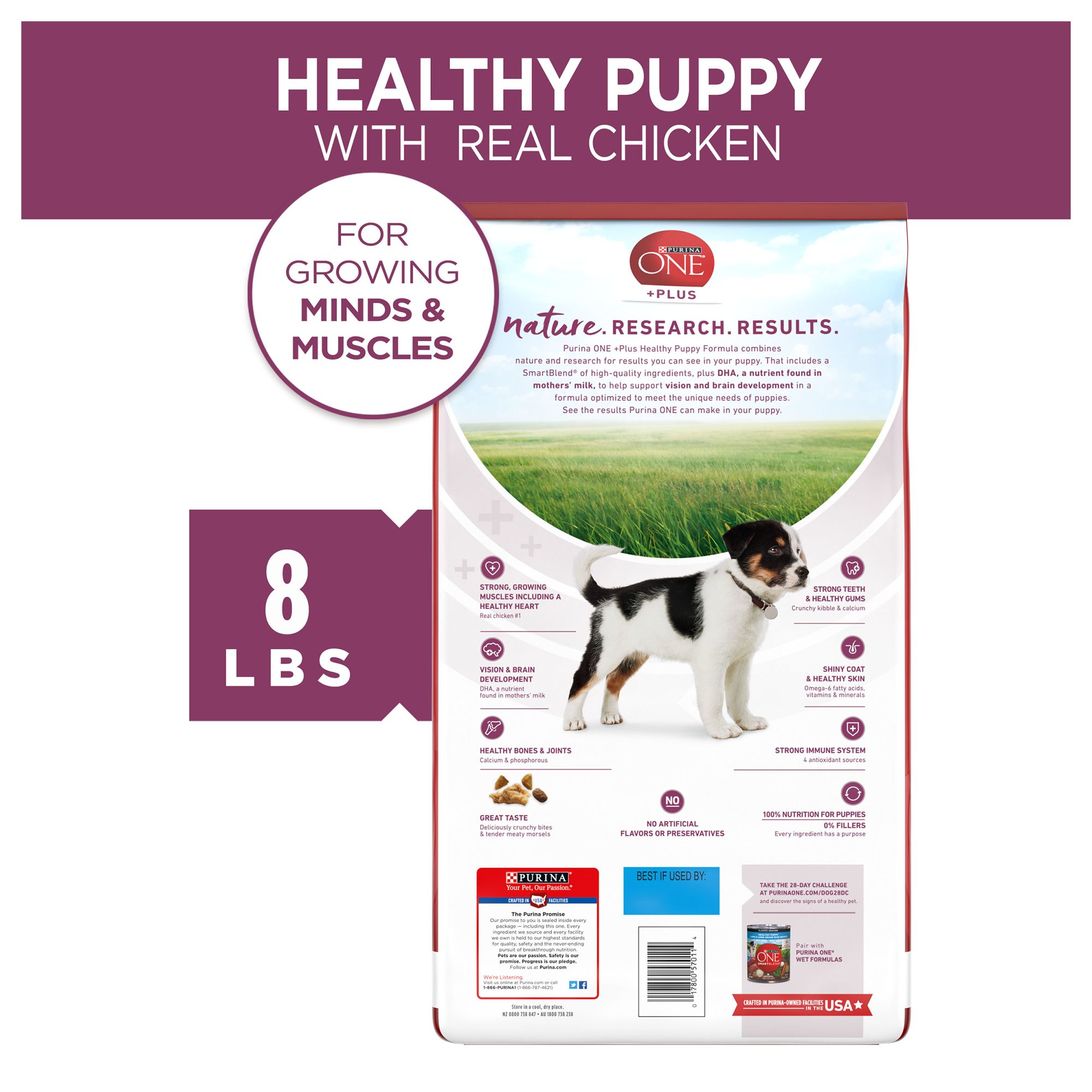 petsmart purina one large breed puppy