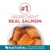 Purina® ONE® Tender Selects Adult Cat Dry Food - Salmon image thumbnail 2
