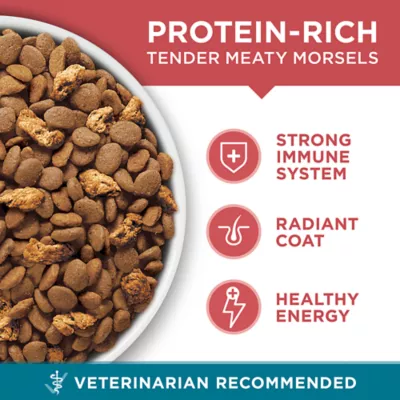 Product Purina ONE® Tender Selects Everyday Nutrition Adult Cat Dry Food - Chicken