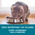 Purina® ONE® Tender Selects Adult Cat Dry Food - Chicken image thumbnail 7