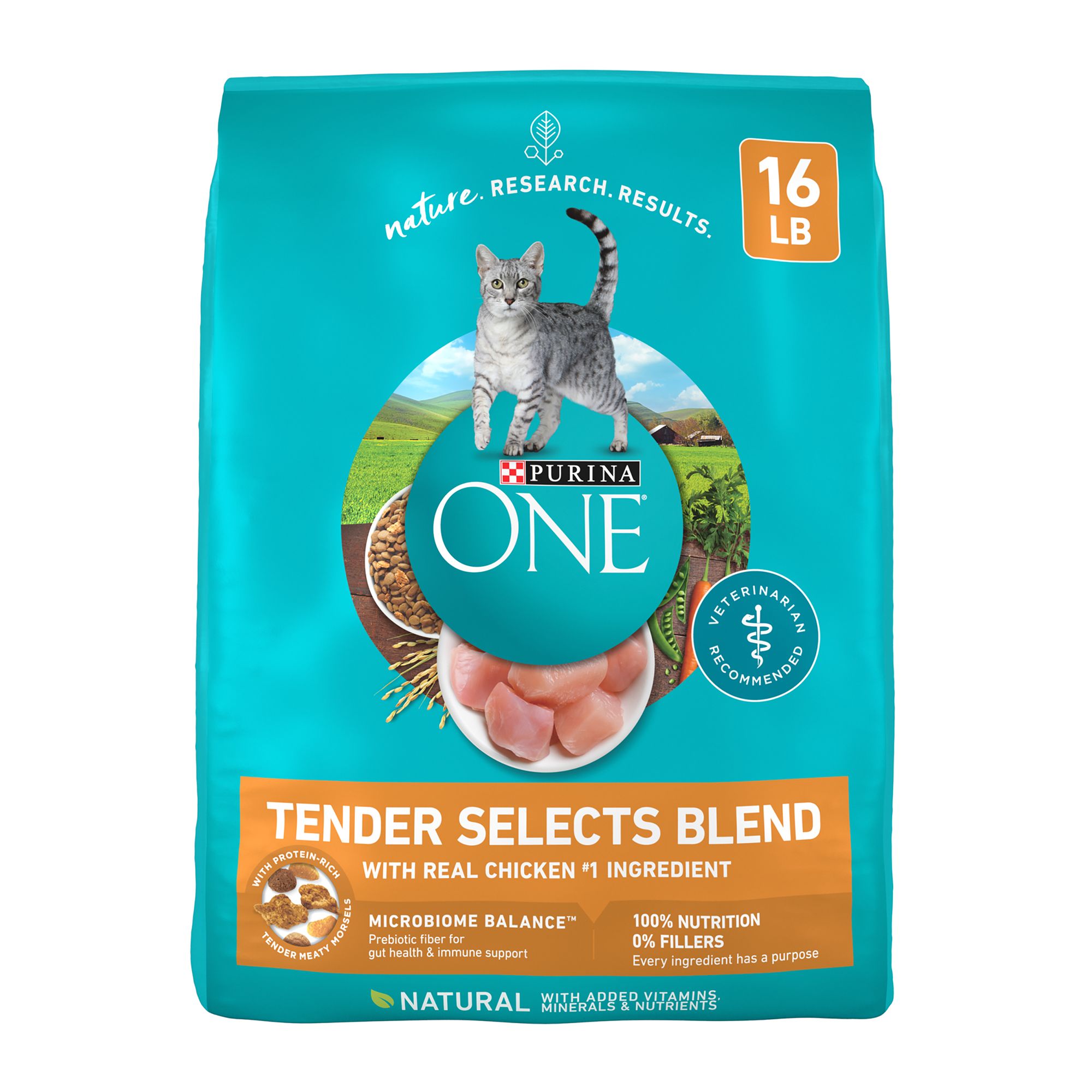 Purina ONE Tender Selects Everyday Nutrition Adult Cat Dry Food Chicken