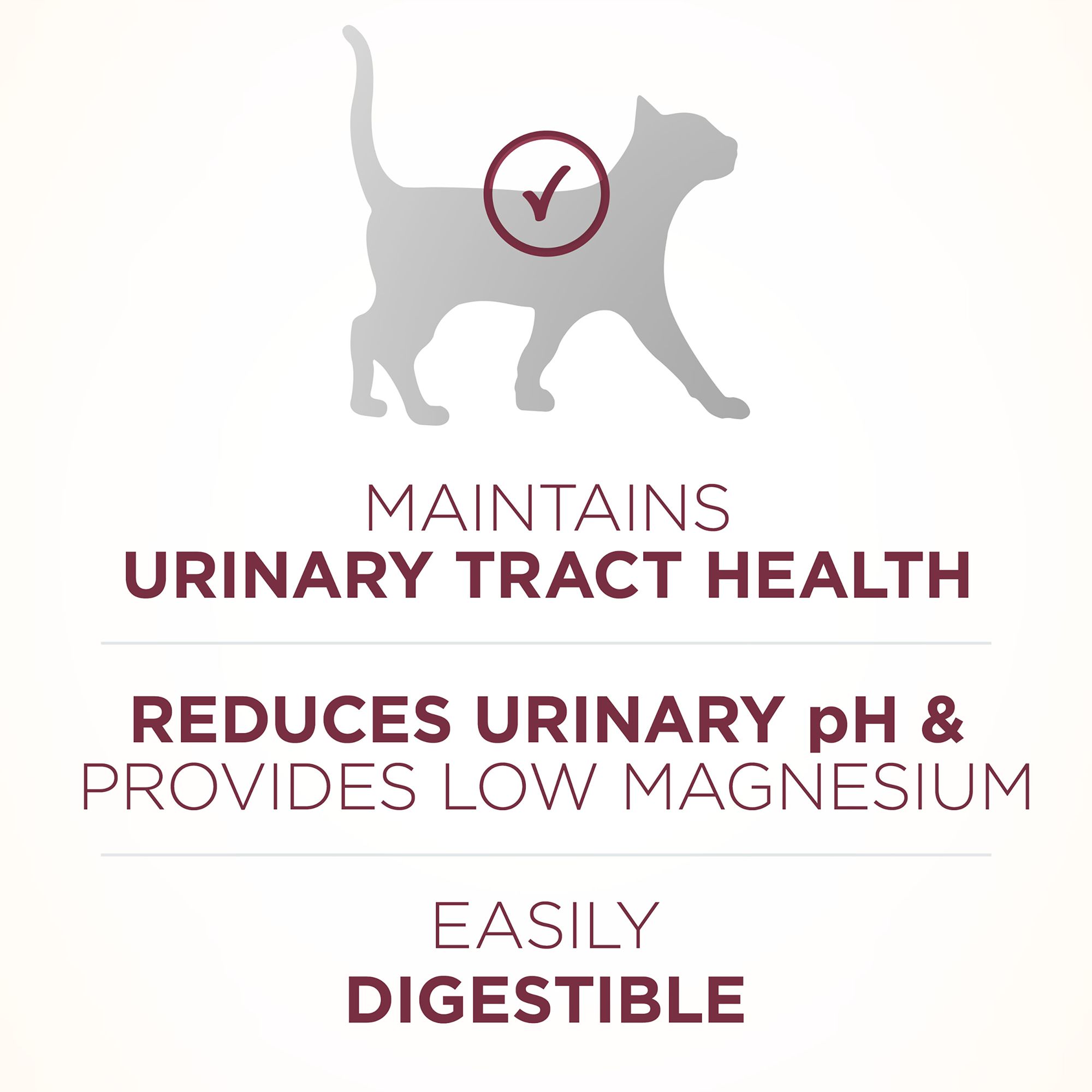 purina one urinary tract cat food