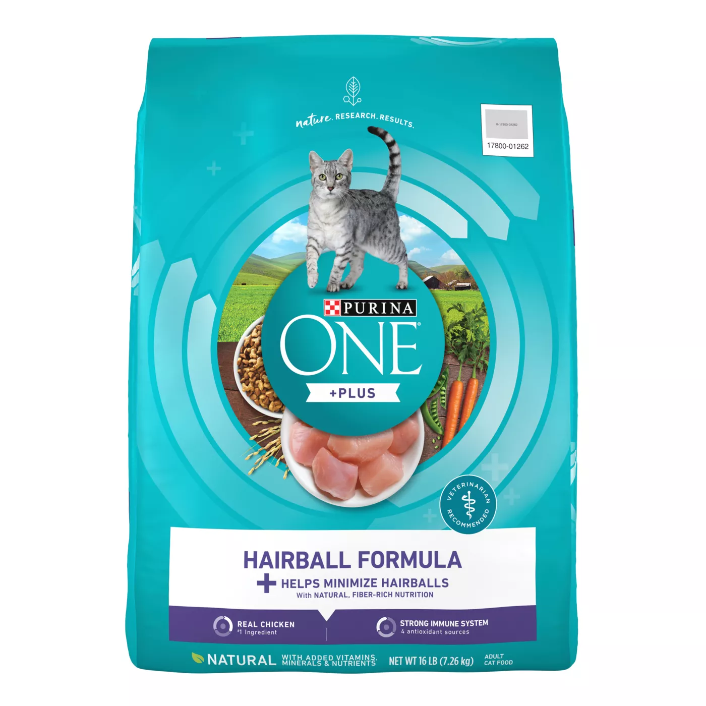 Purina ONE Plus Hairball Formula Adult Cat Dry Food Chicken High Fiber With Vitamins