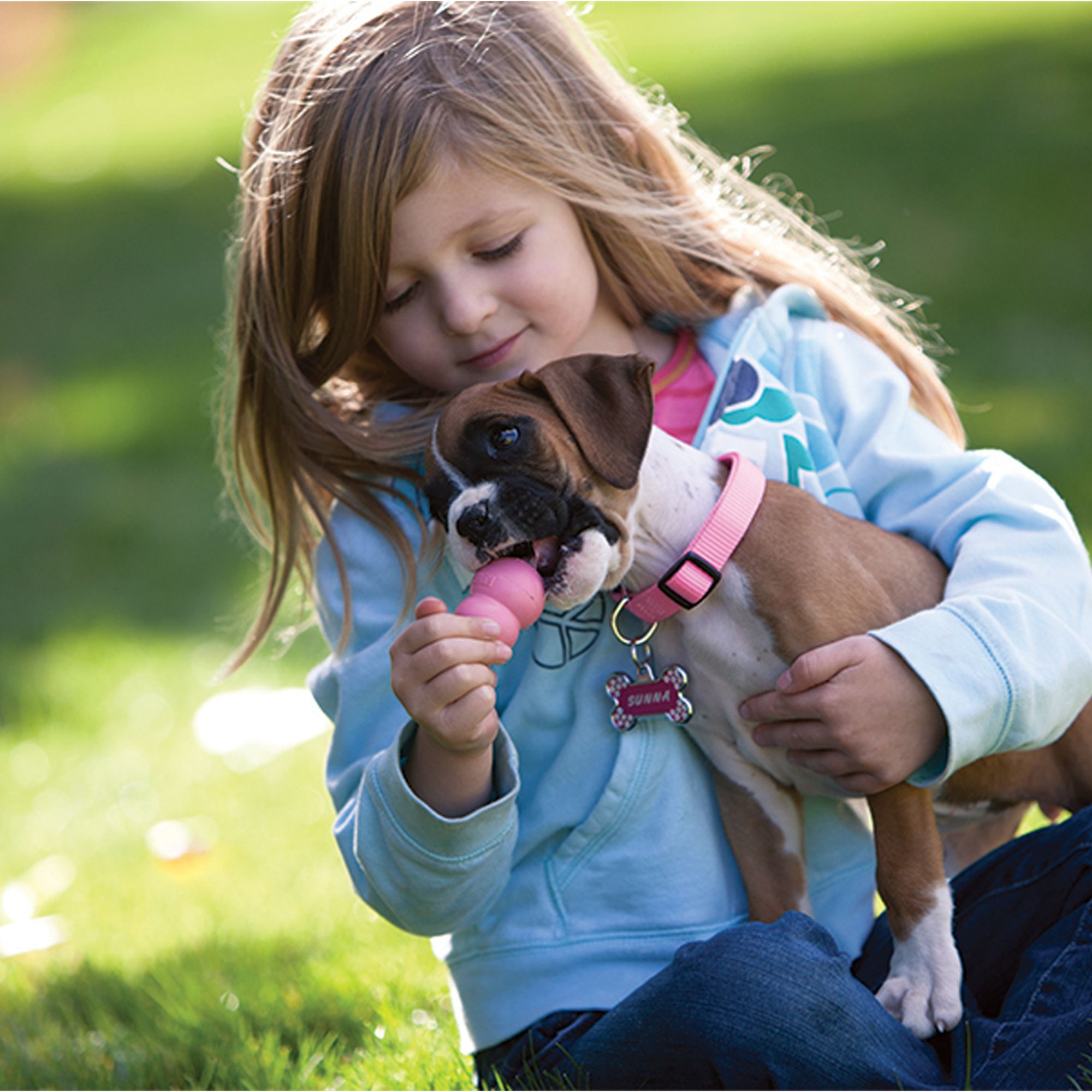 dog chew toy with treats inside