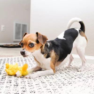 KONG® Duck Plush Dog Toy with Squeaker - Image 2