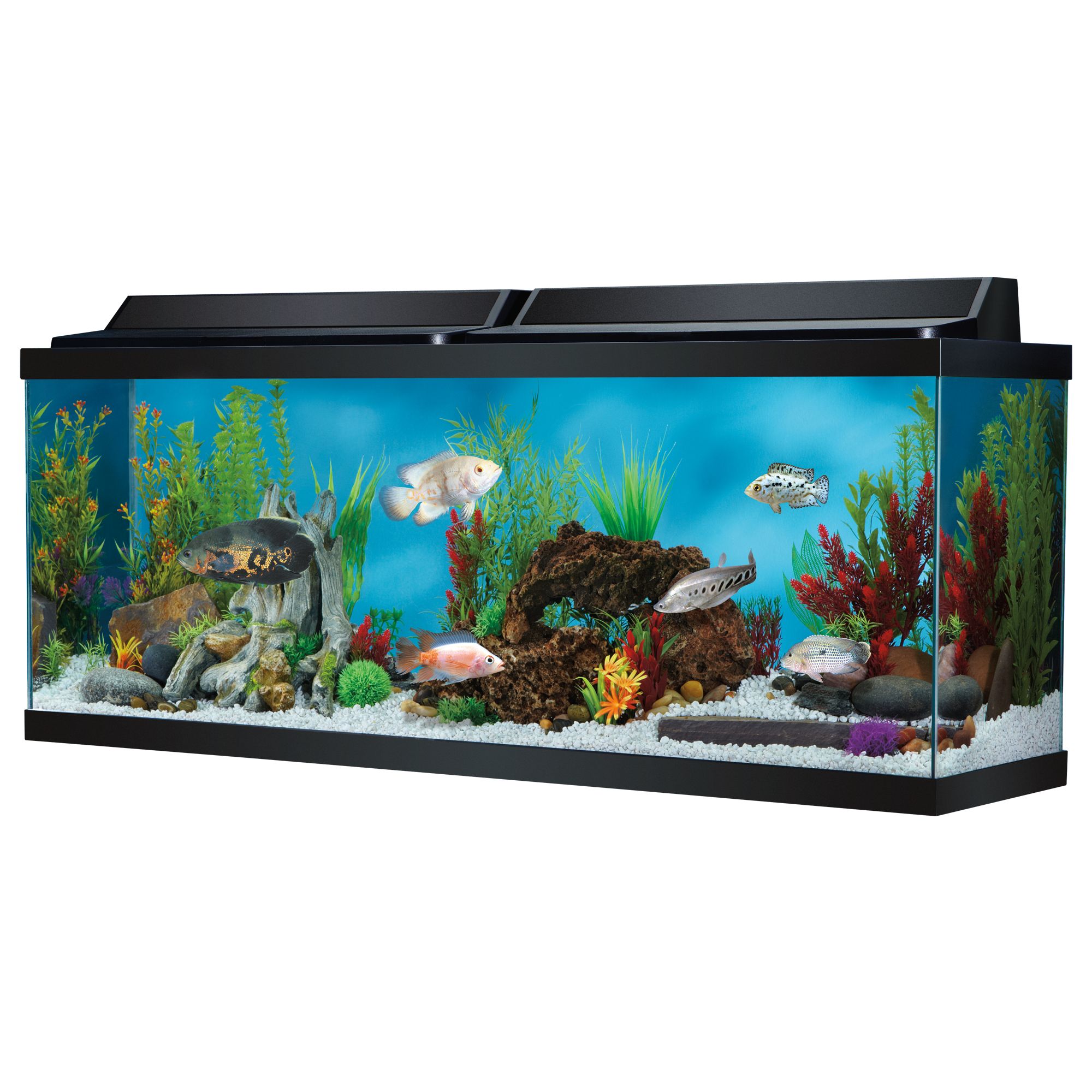 Top Fin® Hooded Aquarium | fish 