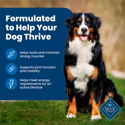 Product Blue Buffalo® Life Protection Formula™ Adult Dry Dog Food - Chicken & Brown Rice