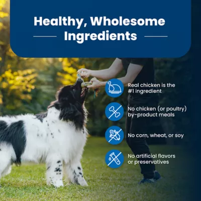 Product Blue Buffalo® Life Protection Formula™ Adult Dry Dog Food - Chicken & Brown Rice