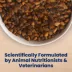 Blue Buffalo Life Protection Formula Chicken & Brown Rice Senior Dry Dog Food image thumbnail 7