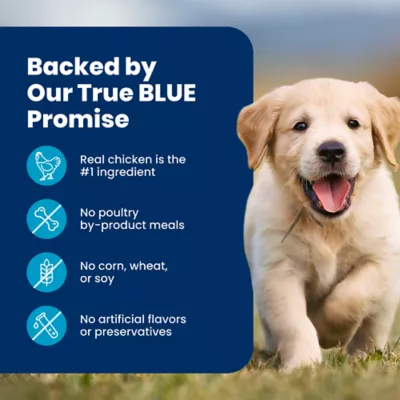 Blue Buffalo Life Protection Formula Chicken & Brown Rice Puppy Dry Food with DHA and ARA - Image 8