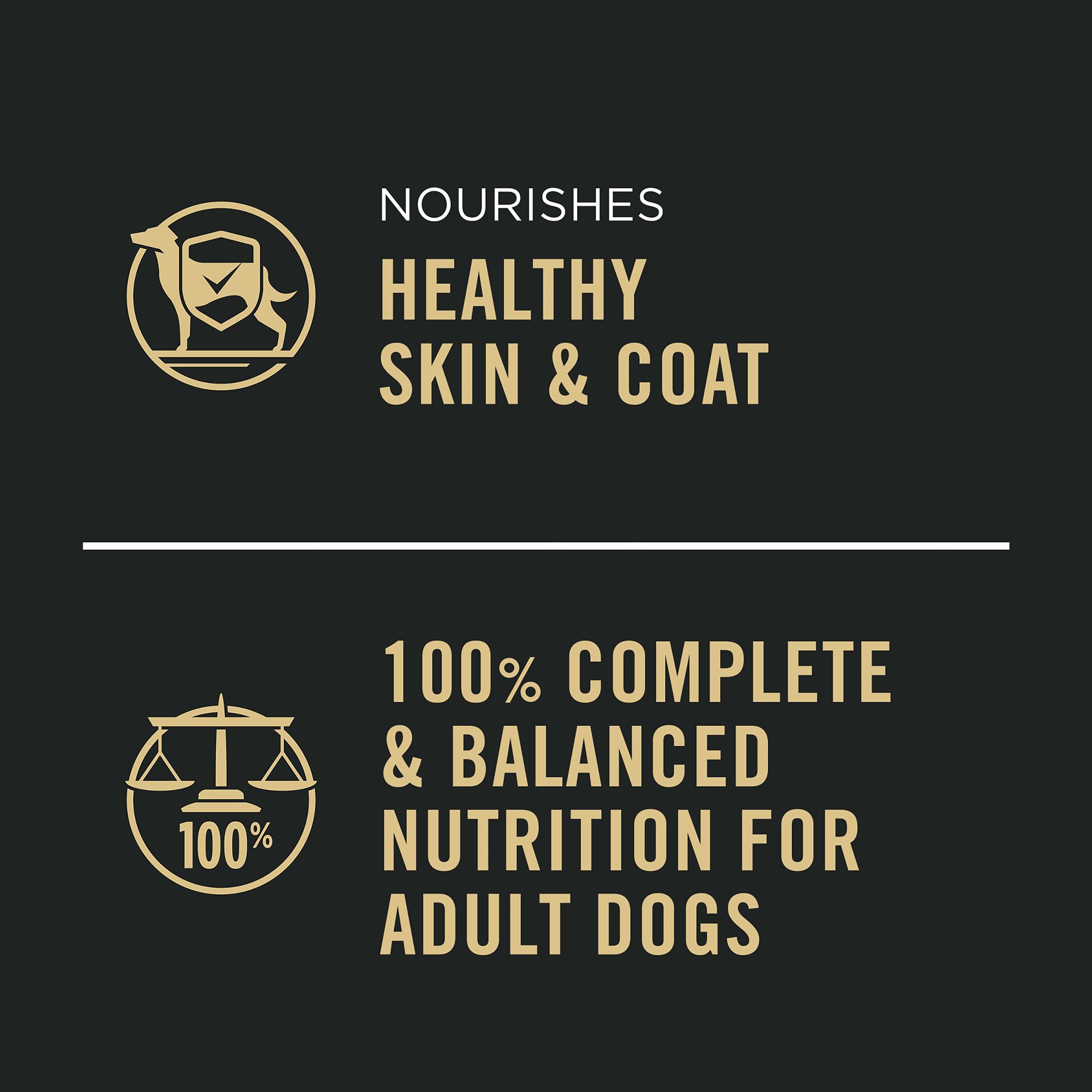 Purina® Pro Plan Complete Essentials Adult Wet Dog Food - Classic Pate, Chicken & Rice, 13 Oz - thumbnail 4