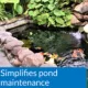 Product API® PondCare® Ecofix Bacterial Clarifier Pond Water Conditioner