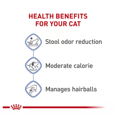 Product Royal Canin® Feline Health Nutrition Indoor Adult Dry Cat Food