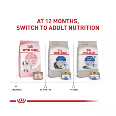 Product Royal Canin® Feline Health Nutrition Indoor Adult Dry Cat Food