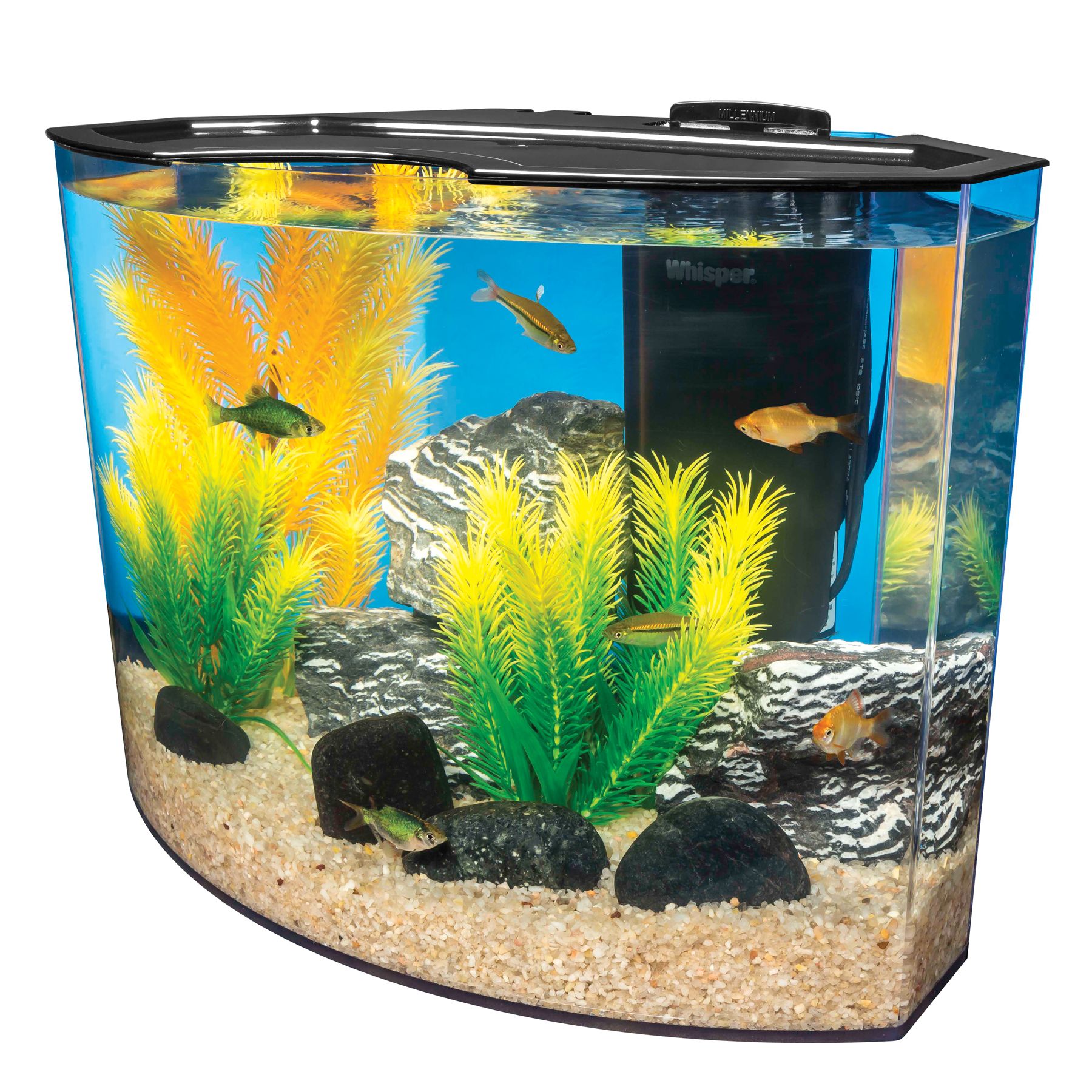 Marineland® 5 Gallon Nook Aquarium System | fish Aquariums | PetSmart