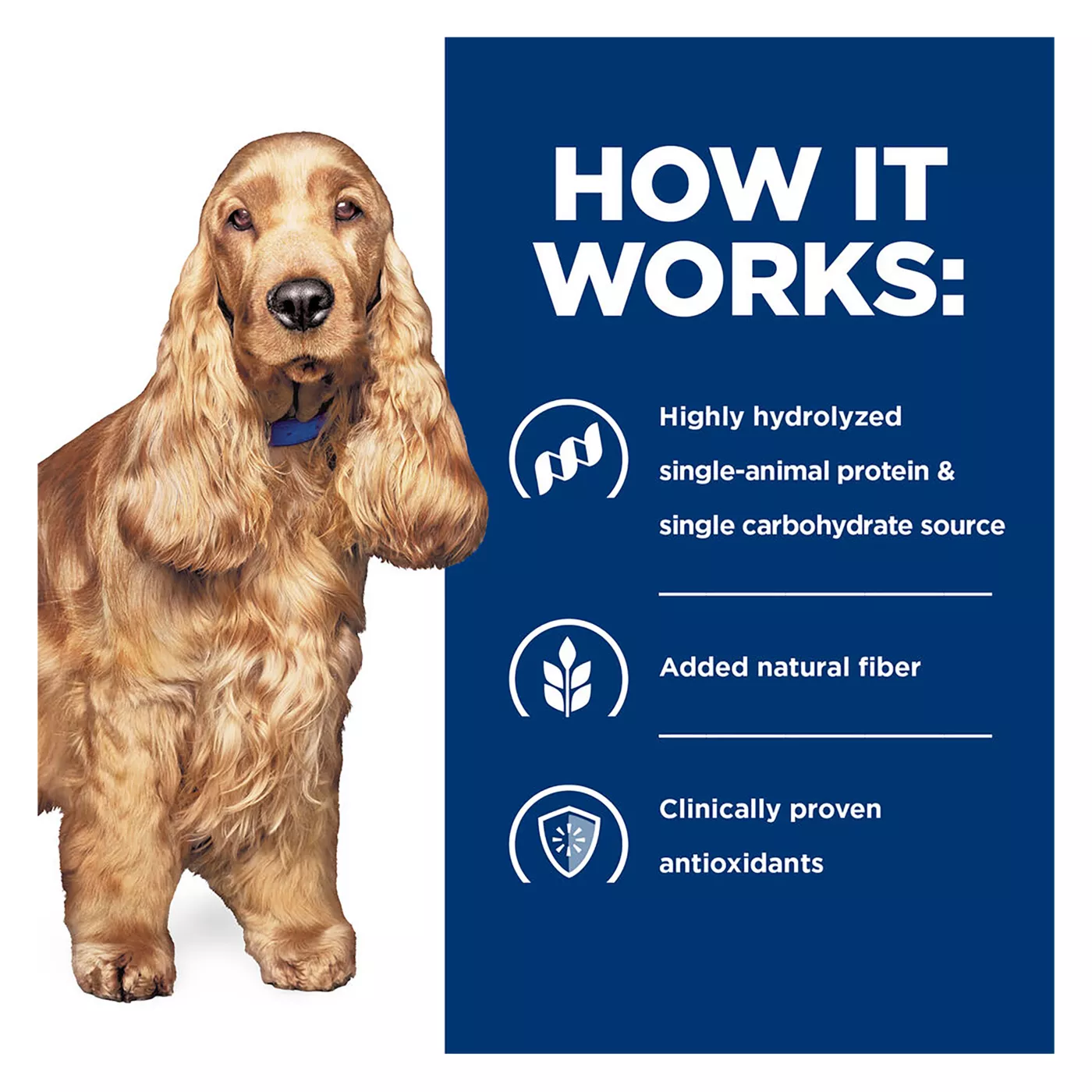 Allergy dog food petsmart sales