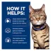 Hill's® Prescription Diet® t/d Dental Care Cat Food - Chicken image thumbnail 5