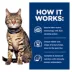 Hill's® Prescription Diet® t/d Dental Care Cat Food - Chicken image thumbnail 6