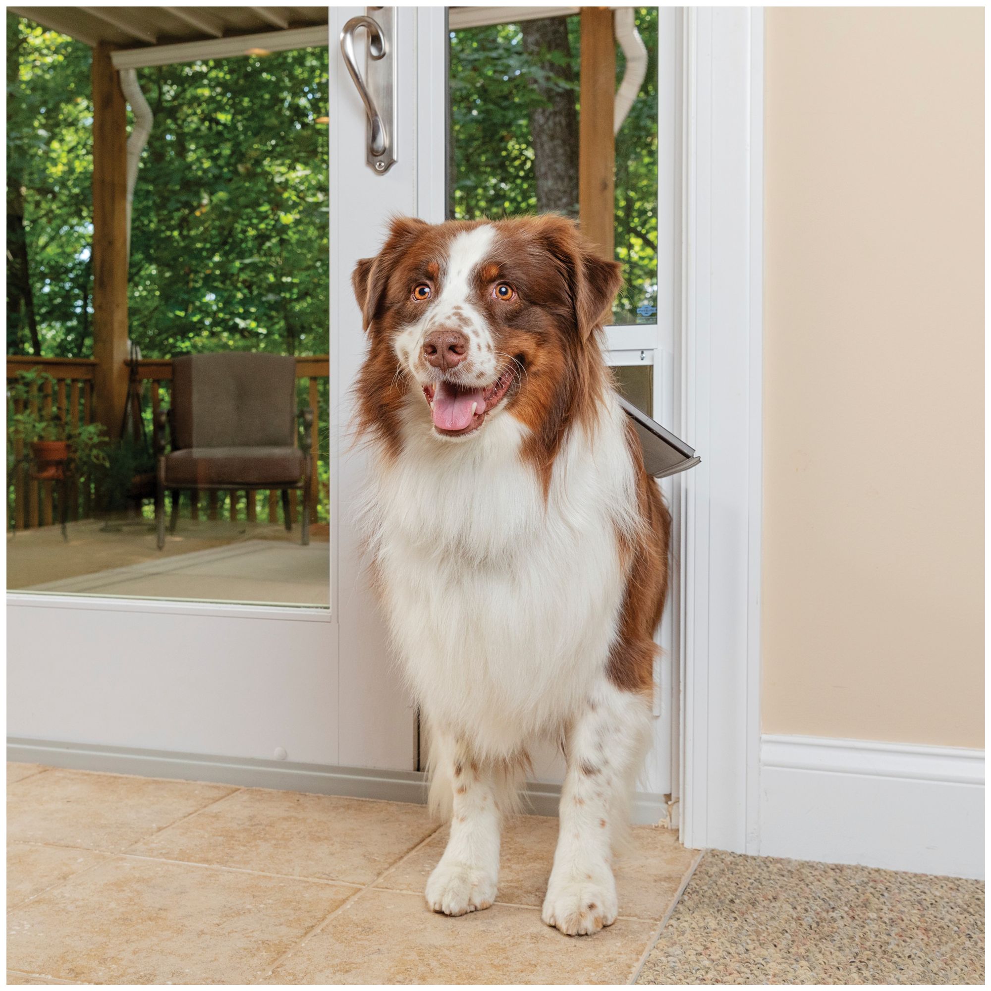 Petsmart sliding 2025 glass dog door