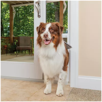 Petsafe sliding glass door hotsell