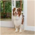PetSafe® 1-Piece Sliding Glass Pet Door - Adjustable Height 91 7/16" to 96" - White image thumbnail 1